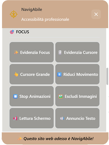 Screenshot del widget NavigAbile - funzionalità avanzate